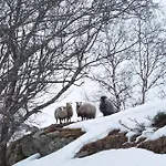 Solheim Lofoten - Luxury On Private Peninsula ヴィラ Digermulen