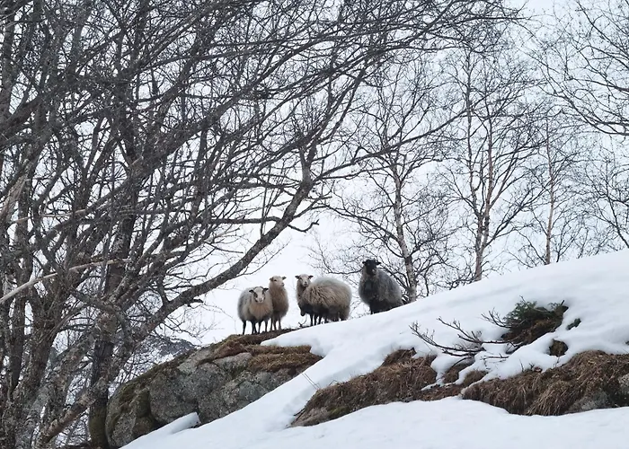 Solheim Lofoten - Luxury On Private Peninsula Villa Digermulen