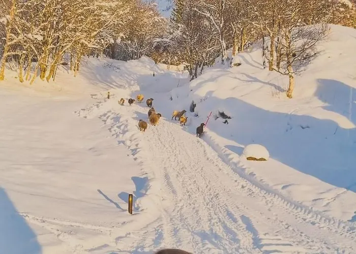 Вилла Solheim Lofoten - Luxury On Private Peninsula